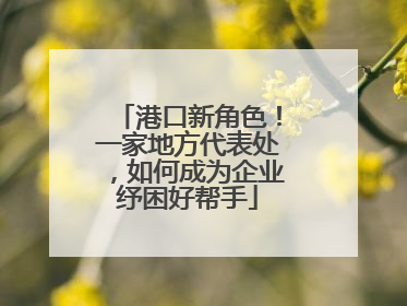 港口新角色！一家地方代表处，如何成为企业纾困好帮手