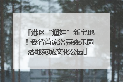 港区“遛娃”新宝地！我省首家洛嘉森乐园落地苑城文化公园