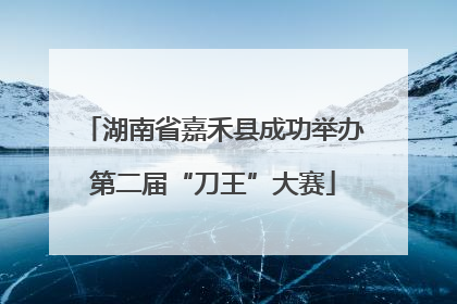 湖南省嘉禾县成功举办第二届“刀王”大赛