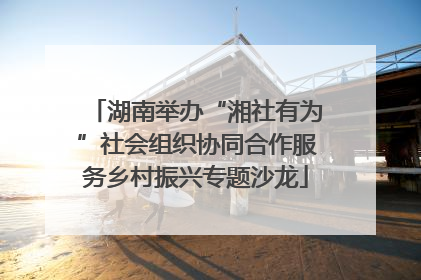 湖南举办“湘社有为”社会组织协同合作服务乡村振兴专题沙龙