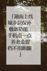 湖南上线城乡居保补缴新功能：手机点一点 养老金提档不用跑腿