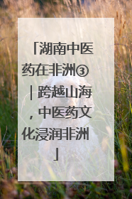 湖南中医药在非洲③｜跨越山海，中医药文化浸润非洲