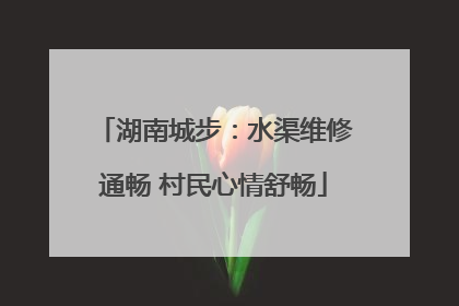 湖南城步：水渠维修通畅 村民心情舒畅
