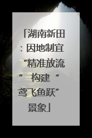 湖南新田：因地制宜“精准放流” 构建“鸢飞鱼跃”景象