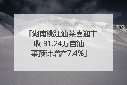 湖南桃江油菜喜迎丰收 31.24万亩油菜预计增产7.4%