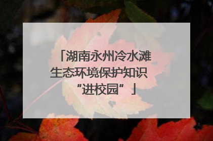 湖南永州冷水滩生态环境保护知识“进校园”