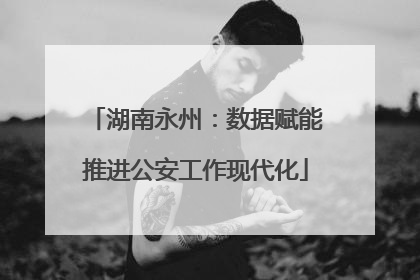 湖南永州：数据赋能推进公安工作现代化