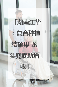 湖南江华：复合种植结硕果 龙头兜底助增收