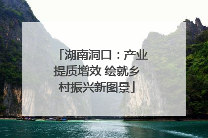 湖南洞口：产业提质增效 绘就乡村振兴新图景