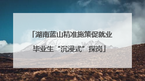 湖南蓝山精准施策促就业 毕业生“沉浸式”探岗