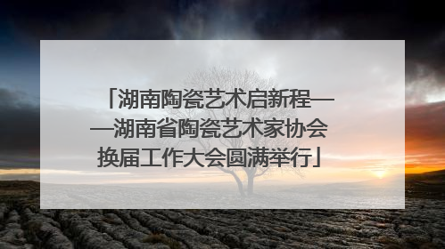 湖南陶瓷艺术启新程——湖南省陶瓷艺术家协会换届工作大会圆满举行