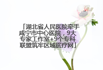 湖北省人民医院牵手咸宁市中心医院，9大专家工作室+9个专科联盟筑牢区域医疗网
