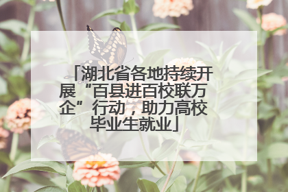 湖北省各地持续开展“百县进百校联万企”行动，助力高校毕业生就业