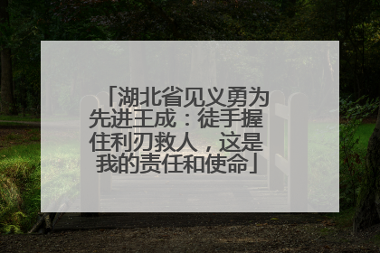 湖北省见义勇为先进王成：徒手握住利刃救人，这是我的责任和使命