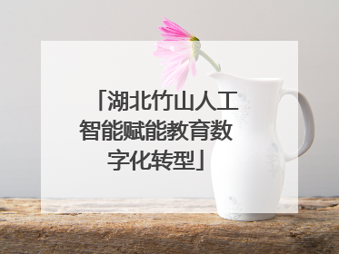 湖北竹山人工智能赋能教育数字化转型