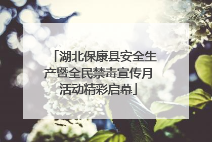 湖北保康县安全生产暨全民禁毒宣传月活动精彩启幕
