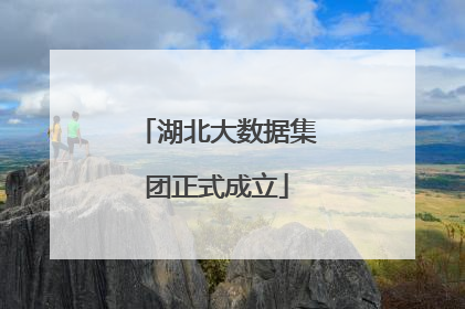 湖北大数据集团正式成立