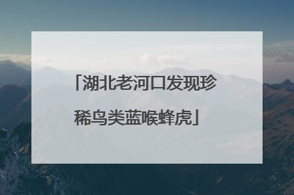 湖北老河口发现珍稀鸟类蓝喉蜂虎