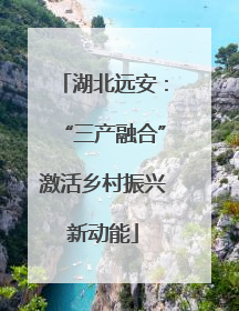 湖北远安：“三产融合”激活乡村振兴新动能