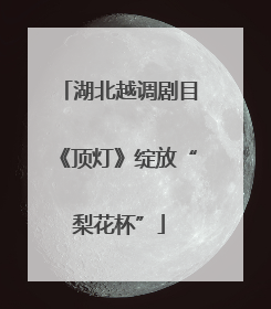湖北越调剧目《顶灯》绽放“梨花杯”