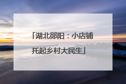 湖北郧阳：小店铺托起乡村大民生