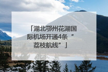 湖北鄂州花湖国际机场开通4条“荔枝航线”