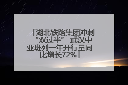 湖北铁路集团冲刺“双过半” 武汉中亚班列一年开行量同比增长72%