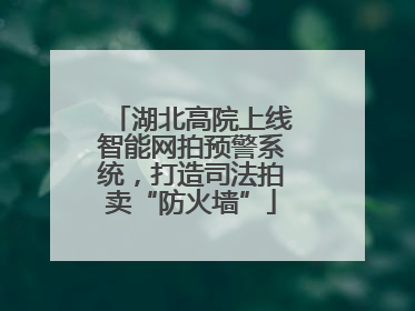 湖北高院上线智能网拍预警系统，打造司法拍卖“防火墙”