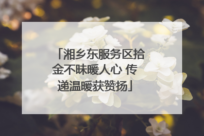 湘乡东服务区拾金不昧暖人心 传递温暖获赞扬