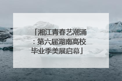 湘江青春艺潮涌：第六届湖南高校毕业季美展启幕