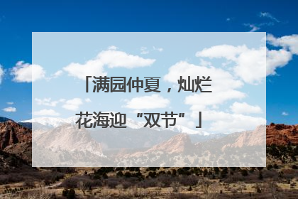 满园仲夏,灿烂花海迎“双节”