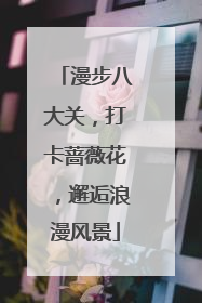 漫步八大关，打卡蔷薇花，邂逅浪漫风景