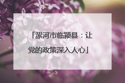 漯河市临颍县：让党的政策深入人心