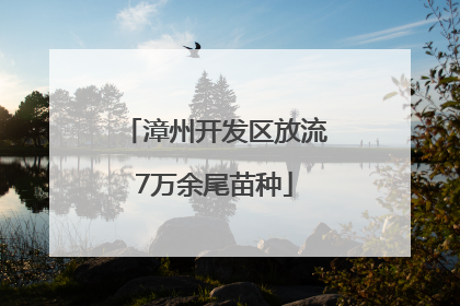 漳州开发区放流7万余尾苗种