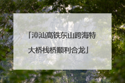 漳汕高铁东山跨海特大桥栈桥顺利合龙