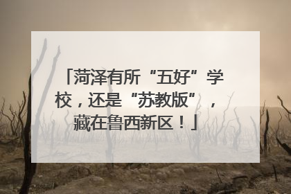 菏泽有所“五好”学校，还是“苏教版”，藏在鲁西新区！
