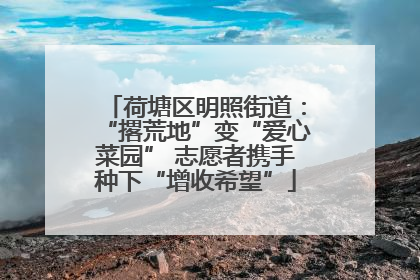 荷塘区明照街道：“撂荒地”变“爱心菜园” 志愿者携手种下“增收希望”