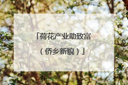 荷花产业助致富（侨乡新貌）