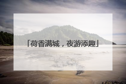 荷香满城，夜游添趣