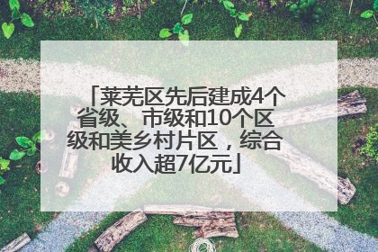 莱芜区先后建成4个省级、市级和10个区级和美乡村片区，综合收入超7亿元