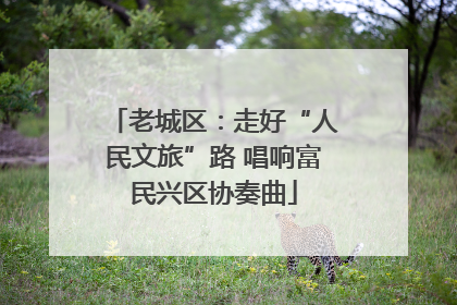 老城区：走好“人民文旅”路 唱响富民兴区协奏曲