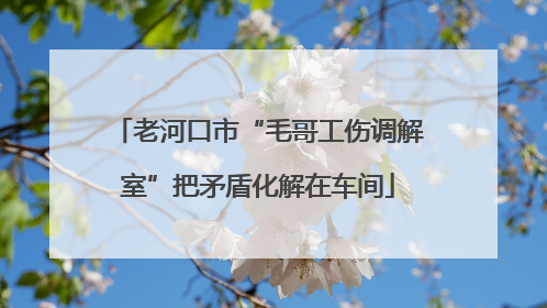 老河口市“毛哥工伤调解室”把矛盾化解在车间
