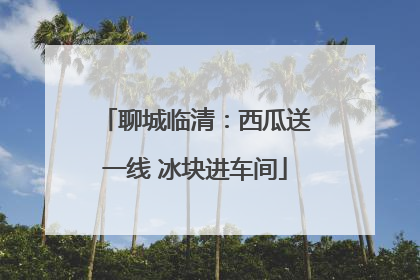 聊城临清：西瓜送一线 冰块进车间