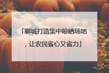 聊城打造集中晾晒场地，让农民省心又省力