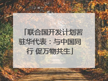 联合国开发计划署驻华代表：与中国同行 促万物共生
