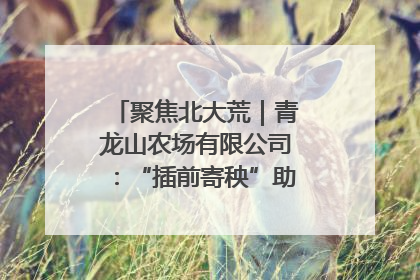 聚焦北大荒｜青龙山农场有限公司：“插前寄秧”助力农业节本增效