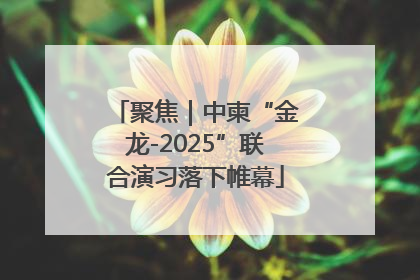 聚焦｜中柬“金龙-2025”联合演习落下帷幕