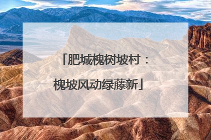 肥城槐树坡村：槐坡风动绿藤新