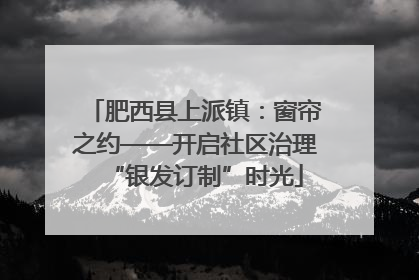 肥西县上派镇：窗帘之约——开启社区治理“银发订制”时光