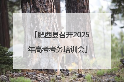 肥西县召开2025年高考考务培训会